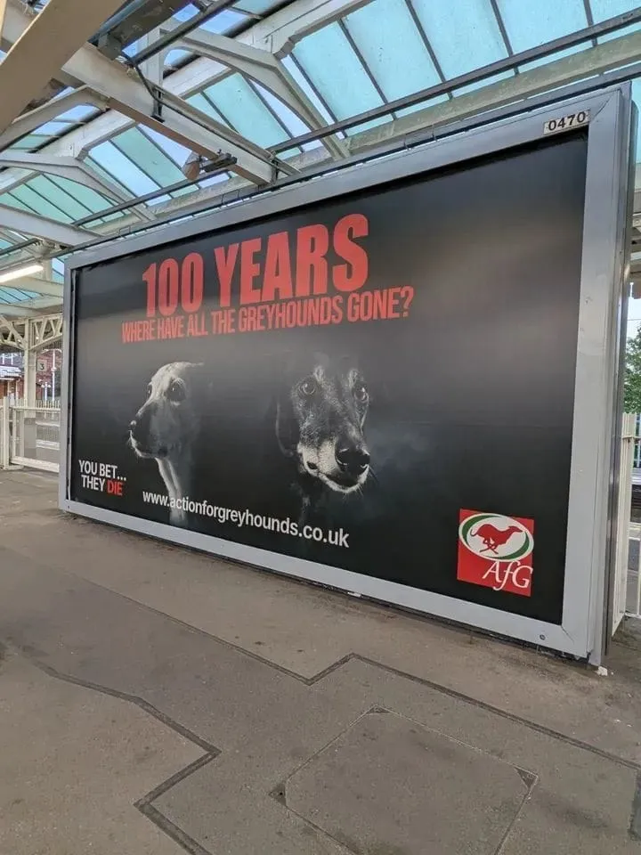 Action for Greyhounds 100 Years billboard on a station platform